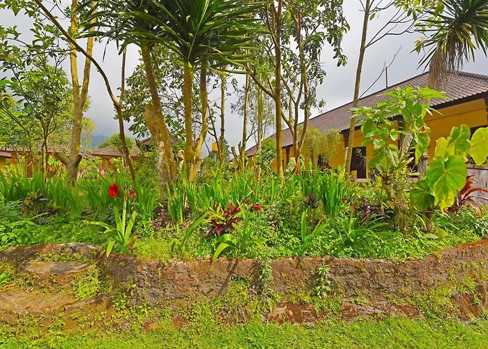 Hotel Oyo 91100 Pondok Kusuma Wisata Munduk