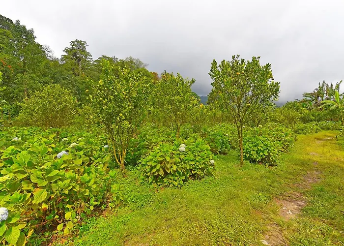 Oyo 91100 Pondok Kusuma Wisata 2*