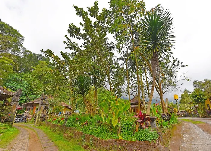 Oyo 91100 Pondok Kusuma Wisata Munduk